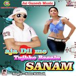 Sonu Khiladi Songs MP3 Download